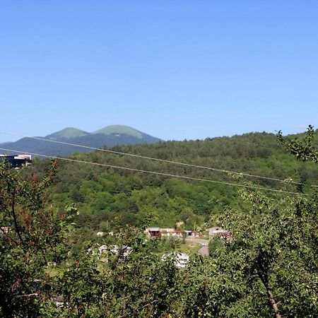 Dilijan Town Inn Екстериор снимка